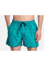 Maudymosi šortai Ship 38861-77X Žalia